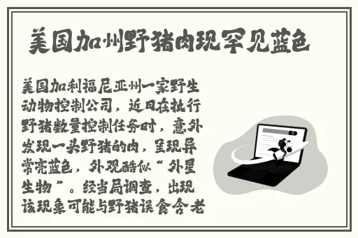老奶奶BGMBGM人与自然