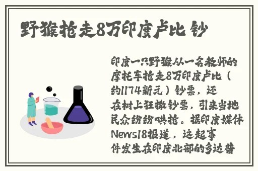 啊你你你别 了流氓