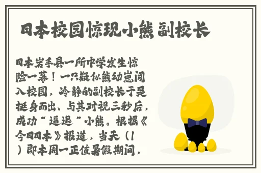 欧美精品一二三区