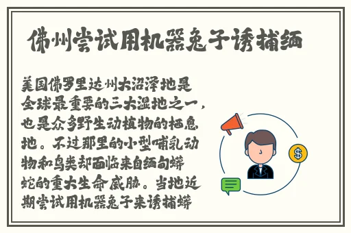 国产99视频精品免视看7
